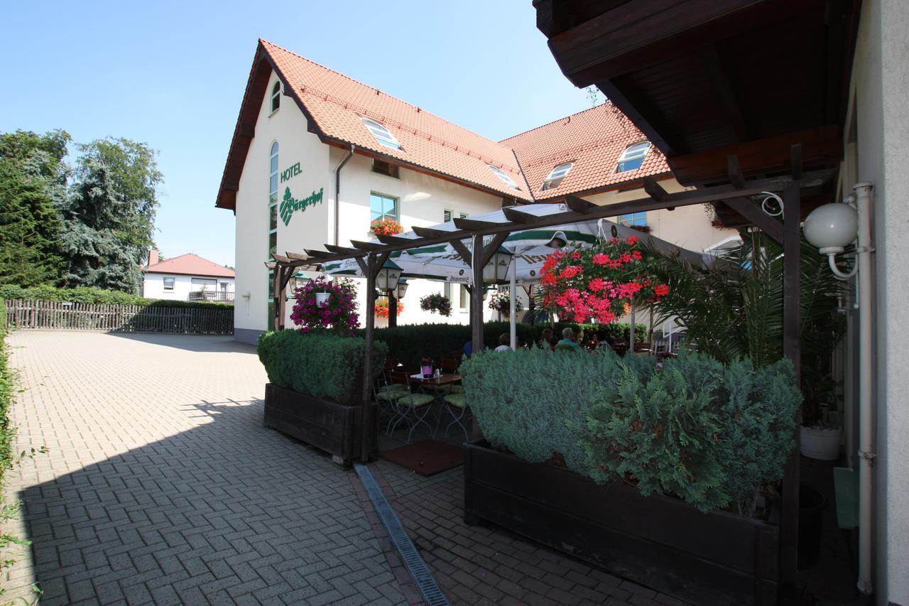 Hotel Buergerhof Hohenstein-Ernstthal Ngoại thất bức ảnh