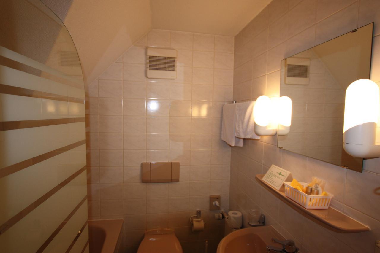 Hotel Buergerhof Hohenstein-Ernstthal Ngoại thất bức ảnh