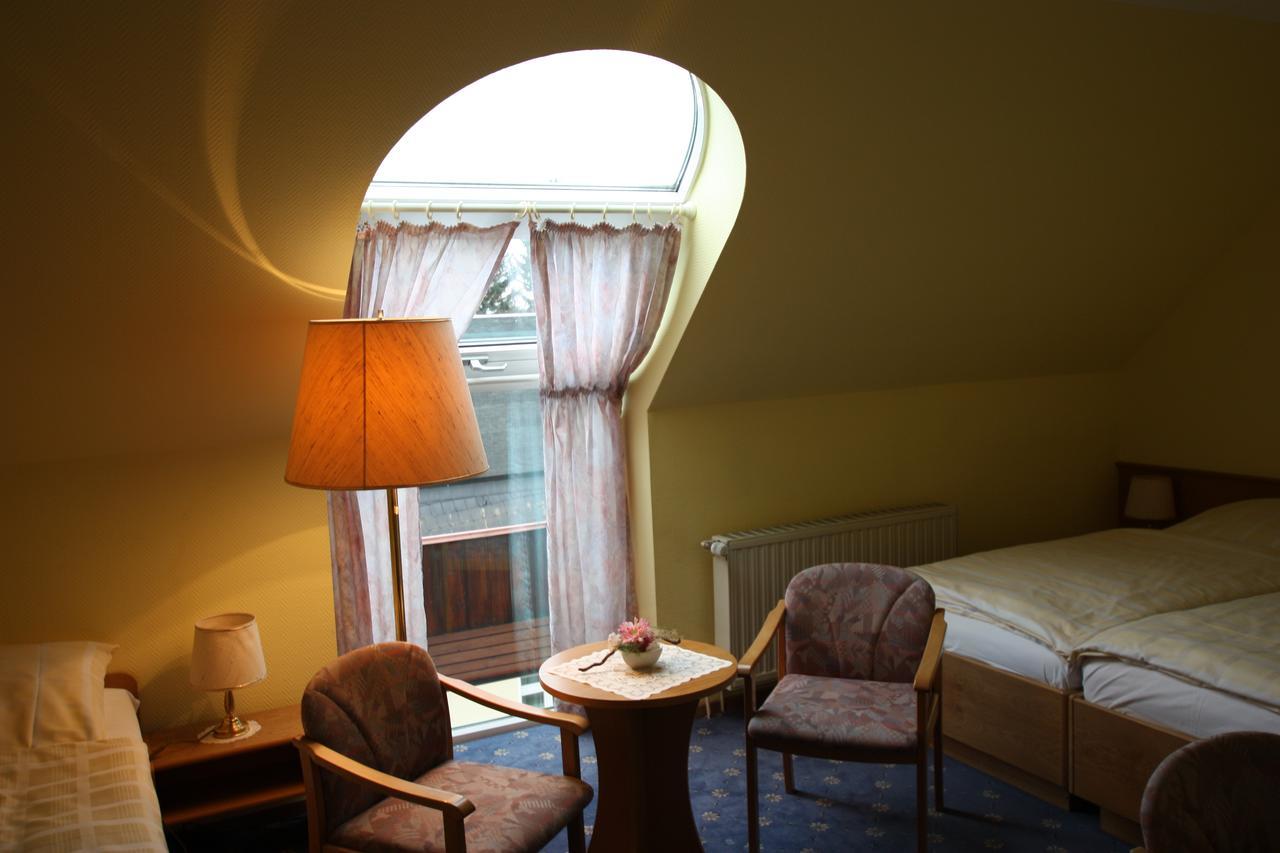 Hotel Buergerhof Hohenstein-Ernstthal Ngoại thất bức ảnh